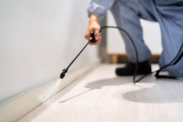 Licensed Mosquito Control service in Weston, FL - Nex Pest Control