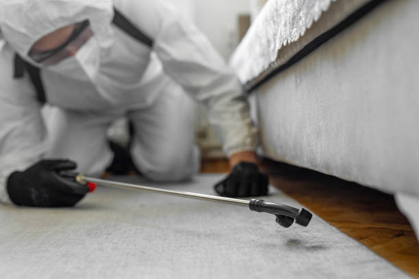 Professional Mosquito Control technician working in Weston, FL