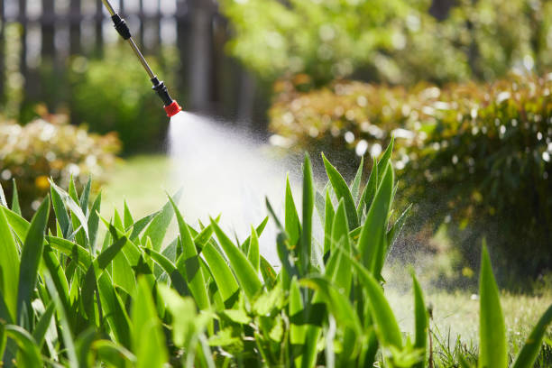 24/7 Emergency Mosquito Control experts in Weston, FL