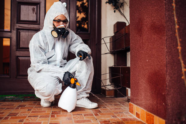 Reliable Mosquito Control contractor in Weston, FL by Nex Pest Control